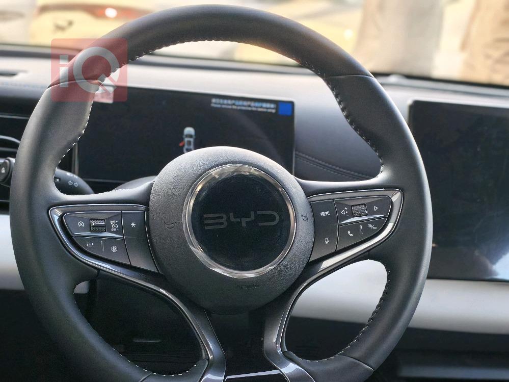 بي واي دي سيل 06 DM-i